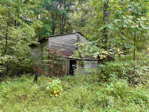 Tiny photo for S State Road 145, French Lick, IN 47432 (MLS # 202638034)