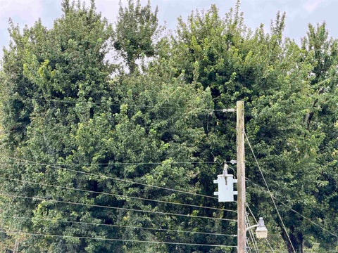 Tiny photo for S State Road 145, French Lick, IN 47432 (MLS # 202638034)