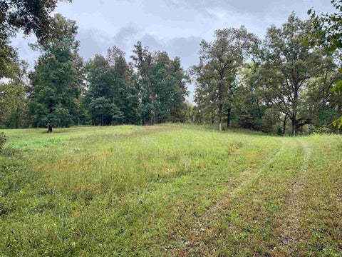 Tiny photo for S State Road 145, French Lick, IN 47432 (MLS # 202638034)