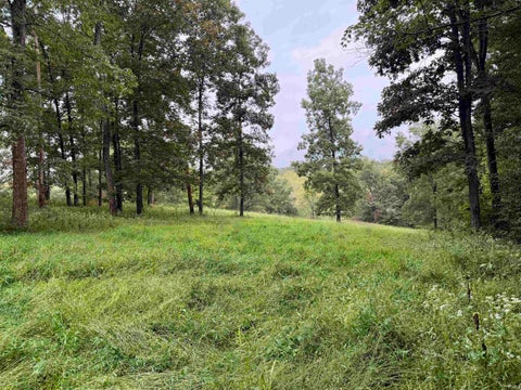 Tiny photo for S State Road 145, French Lick, IN 47432 (MLS # 202638034)