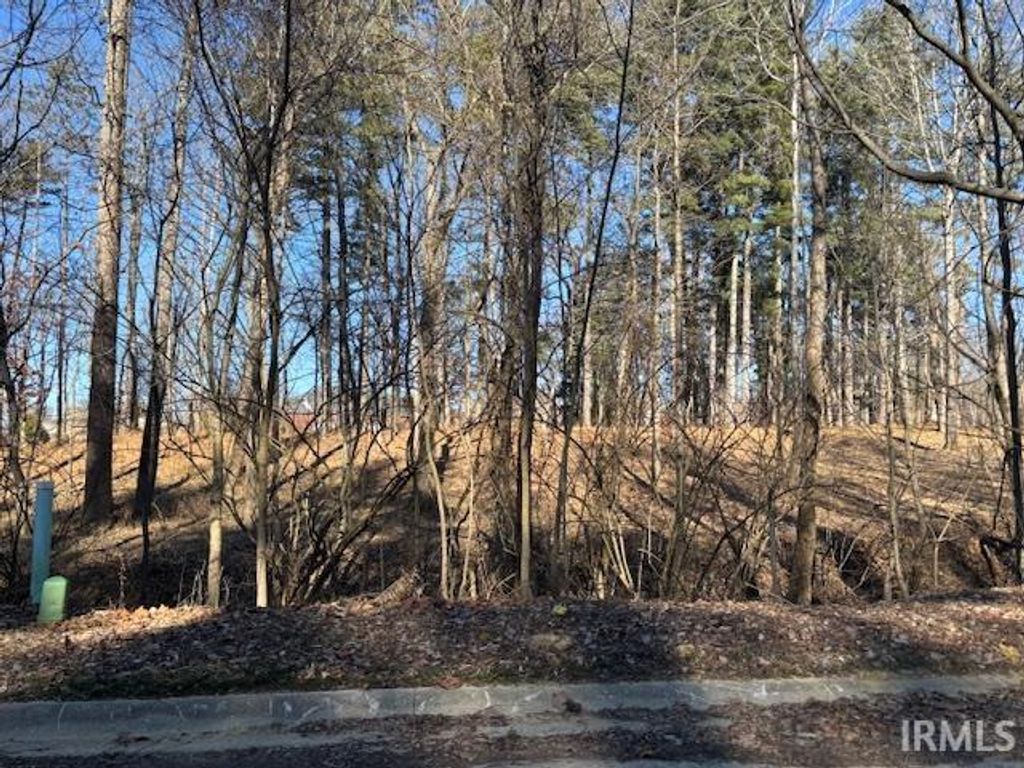 Photo of Lot#46 Pine Cone Drive, Princeton, IN 47670 (MLS # 202601684)