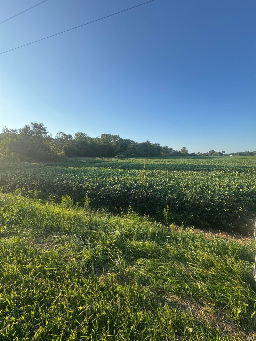 Photo of E 700 South, Lynn, IN 47355 (MLS # 202639853)
