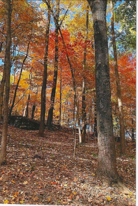 Tiny photo for 3118 S Hoff Lane, Bloomington, IN 47403 (MLS # 202644183)