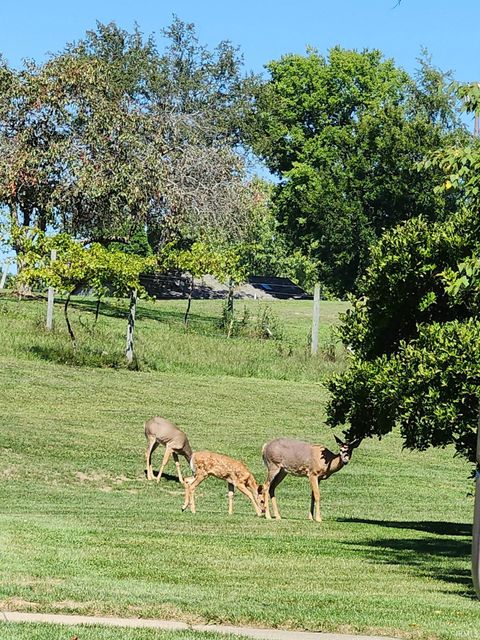 Tiny photo for 1 Golfview Drive, Logansport, IN 46947 (MLS # 202606282)