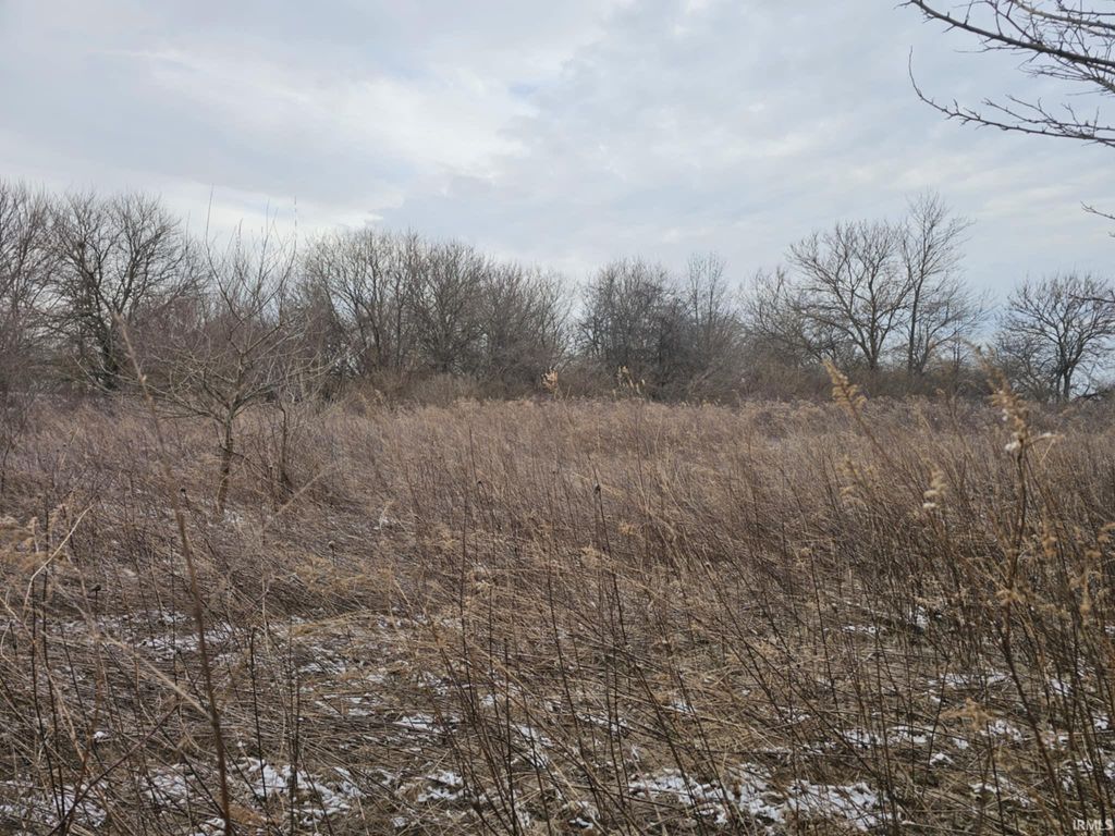 Photo of TBD W 700 N Road, Frankton, IN 46044 (MLS # 202605764)