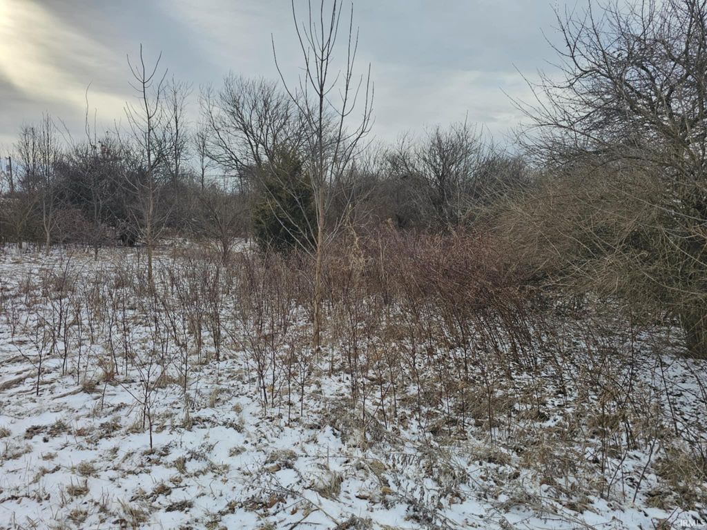 Photo of TBD W 700 N Road, Frankton, IN 46044 (MLS # 202605764)