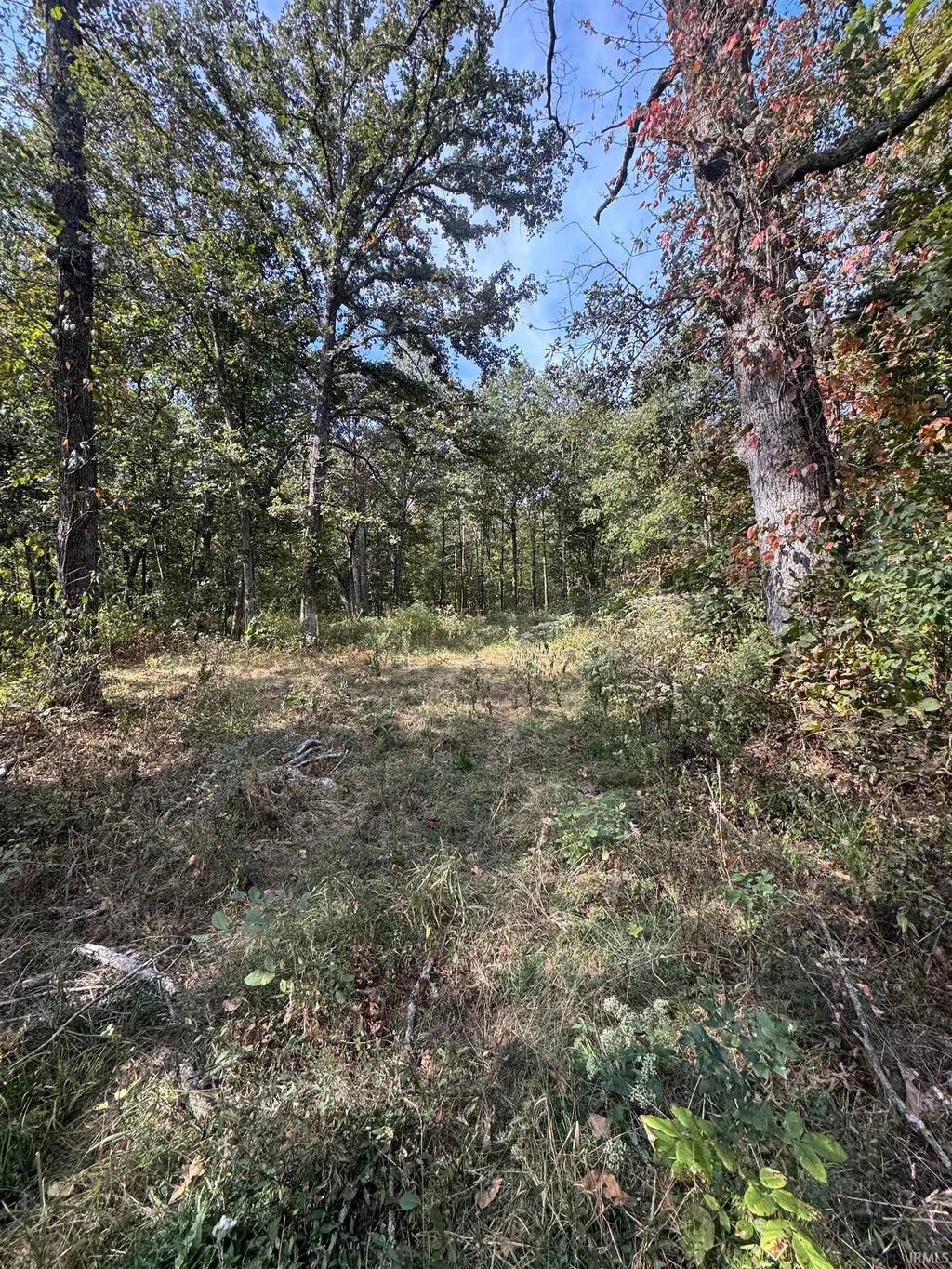 Photo of 0 Decker Road Road, Boonville, IN 47601 (MLS # 202640812)