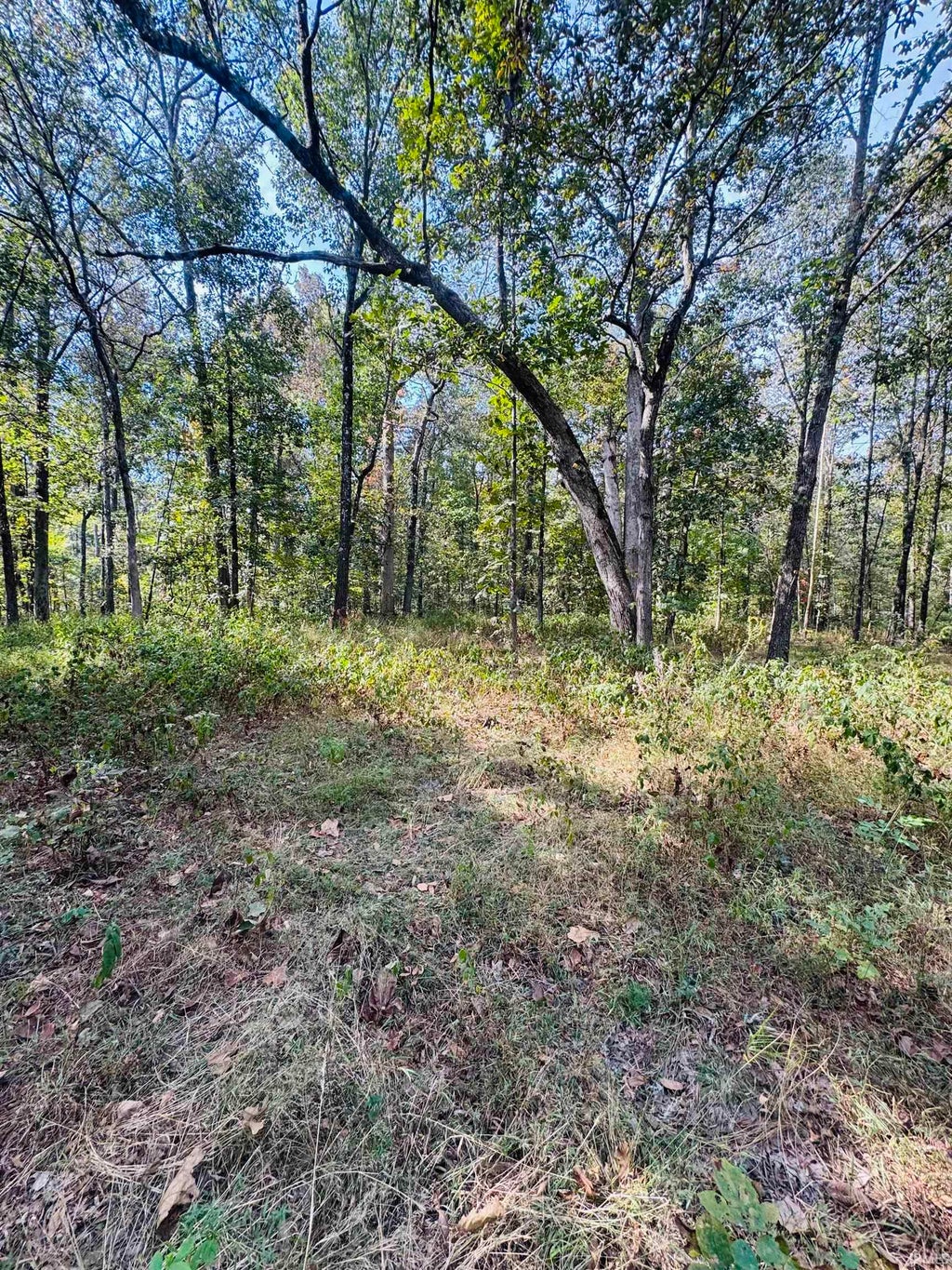 Photo of 0 Decker Road Road, Boonville, IN 47601 (MLS # 202640812)