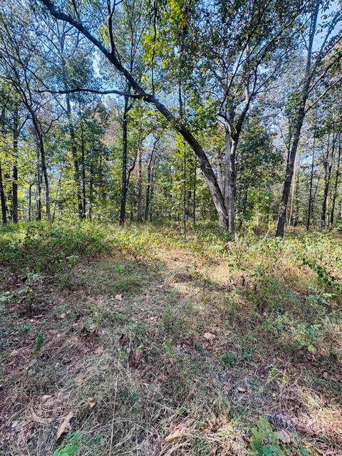 Photo for 0 Decker Road Road