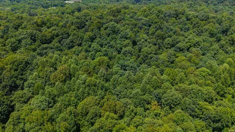 Photo for Lot 14 Bell Hollow Road