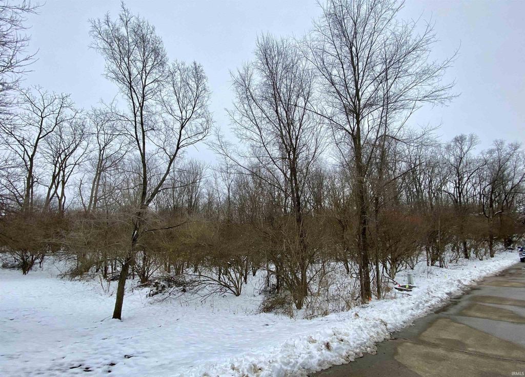 Photo of 0 N Summerhill Drive #1, Albany, IN 47320 (MLS # 202604327)