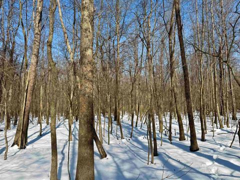 Tiny photo for West Side N Franklin Bottoms Road, Scottsburg, IN 47170 (MLS # 202612362)