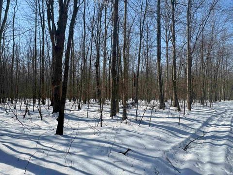 Tiny photo for West Side N Franklin Bottoms Road, Scottsburg, IN 47170 (MLS # 202612362)