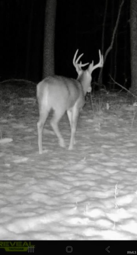 Tiny photo for West Side N Franklin Bottoms Road, Scottsburg, IN 47170 (MLS # 202612362)