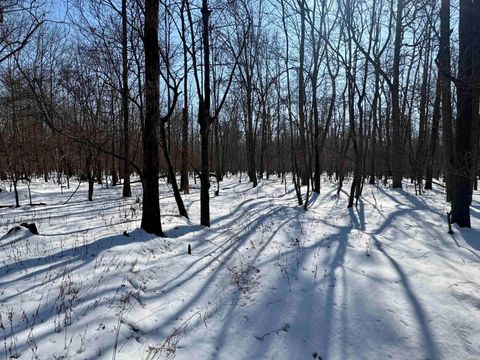 Tiny photo for West Side N Franklin Bottoms Road, Scottsburg, IN 47170 (MLS # 202612362)