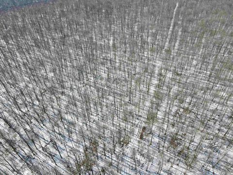 Tiny photo for West Side N Franklin Bottoms Road, Scottsburg, IN 47170 (MLS # 202612362)