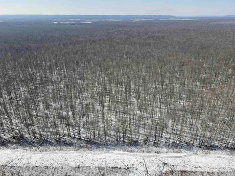 Tiny photo for West Side N Franklin Bottoms Road, Scottsburg, IN 47170 (MLS # 202612362)