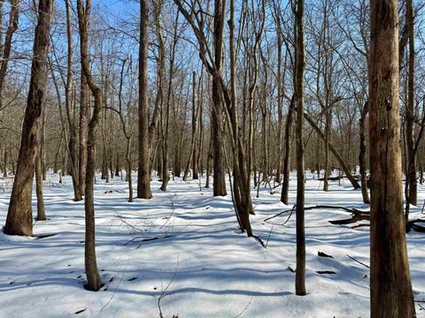 Tiny photo for West Side N Franklin Bottoms Road, Scottsburg, IN 47170 (MLS # 202612362)