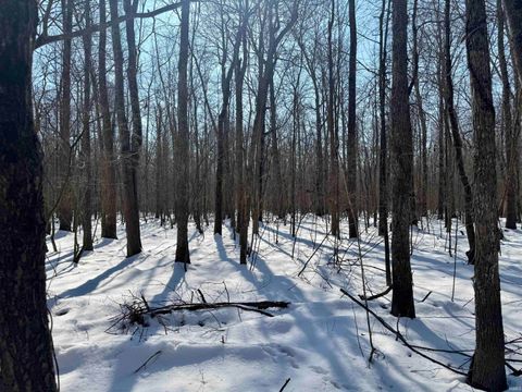 Tiny photo for West Side N Franklin Bottoms Road, Scottsburg, IN 47170 (MLS # 202612362)