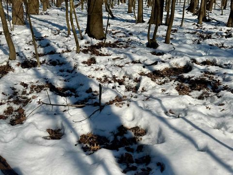 Tiny photo for West Side N Franklin Bottoms Road, Scottsburg, IN 47170 (MLS # 202612362)