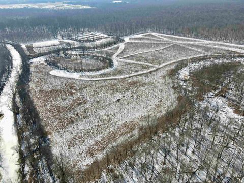 Tiny photo for West Side N Franklin Bottoms Road, Scottsburg, IN 47170 (MLS # 202612362)