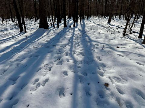 Tiny photo for West Side N Franklin Bottoms Road, Scottsburg, IN 47170 (MLS # 202612362)