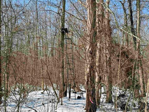 Tiny photo for West Side N Franklin Bottoms Road, Scottsburg, IN 47170 (MLS # 202612362)