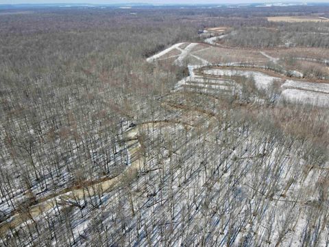 Tiny photo for West Side N Franklin Bottoms Road, Scottsburg, IN 47170 (MLS # 202612362)