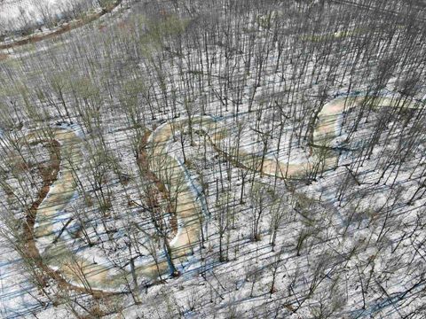 Tiny photo for West Side N Franklin Bottoms Road, Scottsburg, IN 47170 (MLS # 202612362)