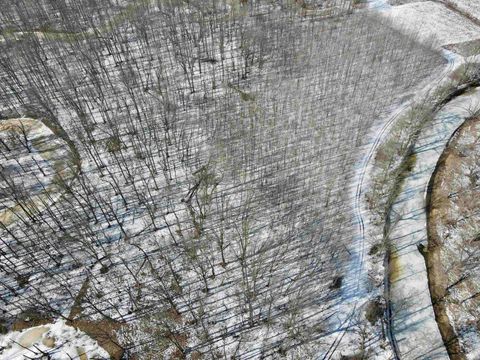 Tiny photo for West Side N Franklin Bottoms Road, Scottsburg, IN 47170 (MLS # 202612362)