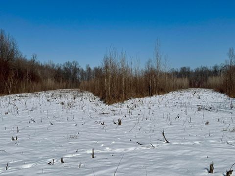 Tiny photo for West Side N Franklin Bottoms Road, Scottsburg, IN 47170 (MLS # 202612362)