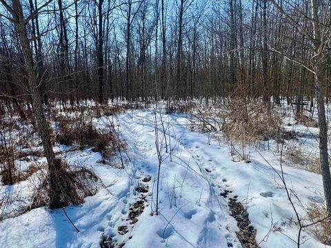 Tiny photo for West Side N Franklin Bottoms Road, Scottsburg, IN 47170 (MLS # 202612362)