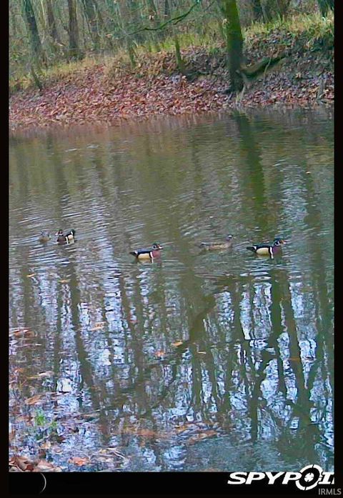 Tiny photo for West Side N Franklin Bottoms Road, Scottsburg, IN 47170 (MLS # 202612362)