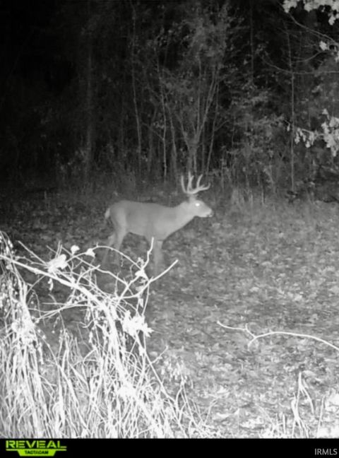 Tiny photo for West Side N Franklin Bottoms Road, Scottsburg, IN 47170 (MLS # 202612362)