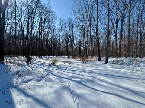 Tiny photo for West Side N Franklin Bottoms Road, Scottsburg, IN 47170 (MLS # 202612362)