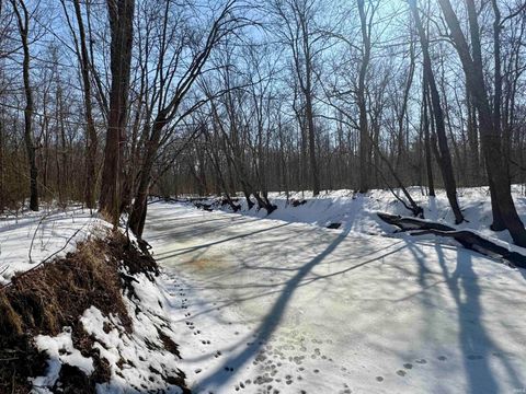 Tiny photo for West Side N Franklin Bottoms Road, Scottsburg, IN 47170 (MLS # 202612362)