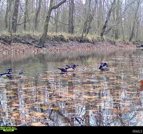 Tiny photo for West Side N Franklin Bottoms Road, Scottsburg, IN 47170 (MLS # 202612362)