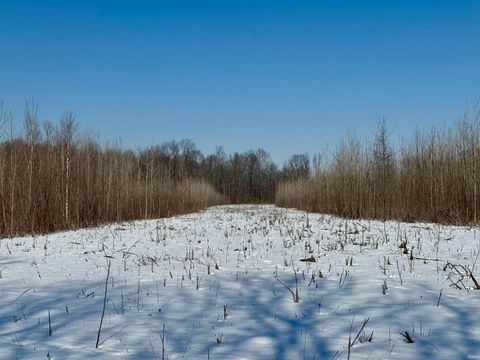 Tiny photo for West Side N Franklin Bottoms Road, Scottsburg, IN 47170 (MLS # 202612362)