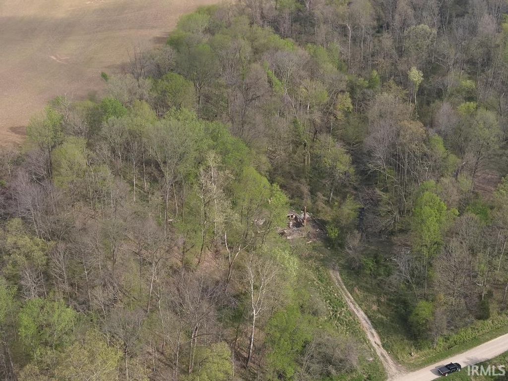 Photo of 498 Dicksburg Hills Road, Decker, IN 47524 (MLS # 202612916)