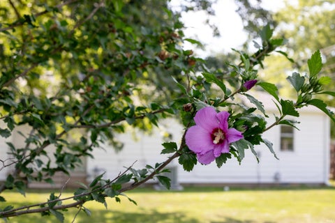 Tiny photo for 306 N Holland Street, Muncie, IN 47303 (MLS # 202627576)