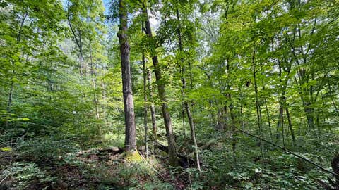 Tiny photo for S County Rd 50 West, Paoli, IN 47454 (MLS # 202630337)