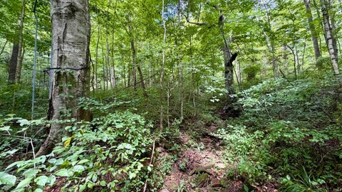 Tiny photo for S County Rd 50 West, Paoli, IN 47454 (MLS # 202630337)