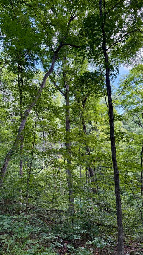 Tiny photo for S County Rd 50 West, Paoli, IN 47454 (MLS # 202630337)
