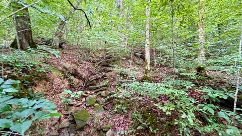 Tiny photo for S County Rd 50 West, Paoli, IN 47454 (MLS # 202630337)