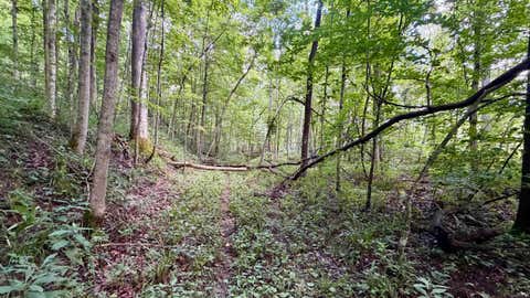 Tiny photo for S County Rd 50 West, Paoli, IN 47454 (MLS # 202630337)