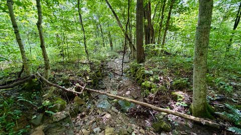 Tiny photo for S County Rd 50 West, Paoli, IN 47454 (MLS # 202630337)