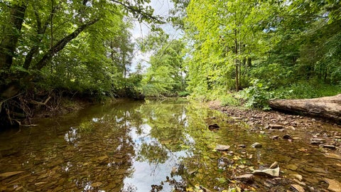 Tiny photo for S County Rd 50 West, Paoli, IN 47454 (MLS # 202630337)