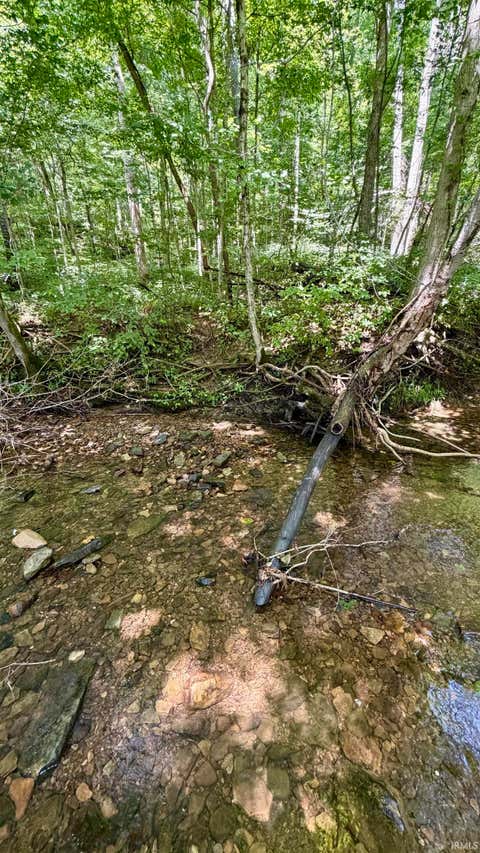 Tiny photo for S County Rd 50 West, Paoli, IN 47454 (MLS # 202630337)