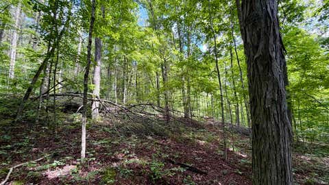 Tiny photo for S County Rd 50 West, Paoli, IN 47454 (MLS # 202630337)