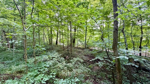 Tiny photo for S County Rd 50 West, Paoli, IN 47454 (MLS # 202630337)